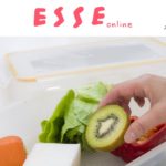 ESSEオンライン 2019.4.1配信は、野菜室とドアポケット収納です！